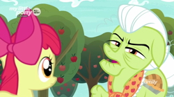 Size: 1600x898 | Tagged: safe, screencap, character:apple bloom, character:granny smith, episode:going to seed, g4, my little pony: friendship is magic, apple, apple tree, discovery family logo, food, sneer, tree