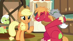 Size: 1920x1080 | Tagged: safe, screencap, character:applejack, character:big mcintosh, character:granny smith, species:pony, episode:going to seed, g4, my little pony: friendship is magic, cat