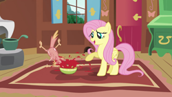 Size: 1280x720 | Tagged: safe, screencap, character:fluttershy, character:philomena, species:pegasus, species:phoenix, species:pony, episode:a bird in the hoof, g4, my little pony: friendship is magic, bowl, duo, food, not blood, out of context, raised hoof, soup