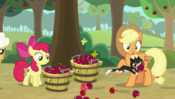 Size: 1920x1080 | Tagged: safe, screencap, character:apple bloom, character:applejack, character:goldie delicious, species:earth pony, species:pony, episode:going to seed, g4, my little pony: friendship is magic, apple, apple tree, basket, bucket, cat, female, filly, foal, food, mare, stealing, tree, tuxedo cat