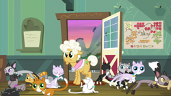 Size: 2100x1180 | Tagged: safe, screencap, character:goldie delicious, species:earth pony, species:pony, episode:going to seed, g4, my little pony: friendship is magic, animal, cat, derp cat, door, female, goldie delicious' cats, mare, siamese cat