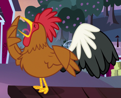 Size: 843x678 | Tagged: safe, screencap, species:bird, species:rooster, episode:going to seed, g4, my little pony: friendship is magic, cropped, male, solo, wings, yawn