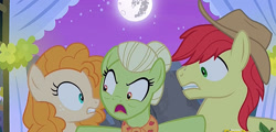 Size: 1909x917 | Tagged: safe, screencap, character:bright mac, character:granny smith, character:pear butter, species:pony, episode:the perfect pear, g4, my little pony: friendship is magic, angry, clothing, cropped, female, hat, husband and wife, male, mare in the moon, marriage, moon, mother and child, mother and daughter-in-law, mother and son, palindrome get, wedding, young granny smith, younger