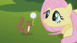 Size: 1280x720 | Tagged: safe, screencap, character:fluttershy, species:pegasus, species:pony, episode:swarm of the century, g4, my little pony: friendship is magic, cute, dandelion, female, shyabetes, smiling, squirrel