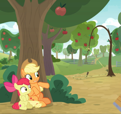 Size: 995x936 | Tagged: safe, screencap, character:apple bloom, character:applejack, species:earth pony, species:pony, episode:going to seed, g4, my little pony: friendship is magic, adorabloom, apple sisters, apple tree, cropped, cute, duo, excited, female, filly, foal, hiding, jackabetes, male, mare, siblings, sisters, sitting, smiling, snare trap, trap, tree