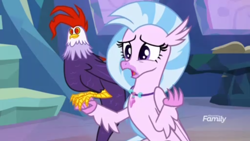 Size: 1366x768 | Tagged: safe, screencap, character:edith, character:silverstream, species:cockatrice, episode:student counsel, discovery family logo