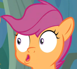 Size: 569x509 | Tagged: safe, screencap, character:scootaloo, species:pegasus, species:pony, episode:the last crusade, g4, my little pony: friendship is magic, cropped, faec, meme, special eyes