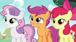 Size: 1920x1080 | Tagged: safe, screencap, character:apple bloom, character:scootaloo, character:sweetie belle, species:pegasus, species:pony, episode:the last crusade, g4, my little pony: friendship is magic, cutie mark crusaders, female