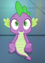 Size: 443x612 | Tagged: safe, screencap, character:spike, species:dragon, episode:father knows beast, g4, my little pony: friendship is magic, belly, claws, cropped, cute, male, spikabetes, tail, toes, winged spike