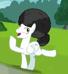 Size: 453x490 | Tagged: safe, screencap, character:starry eyes, species:pegasus, species:pony, episode:forever filly, g4, my little pony: friendship is magic, afro, cropped, happy, male, solo, stallion