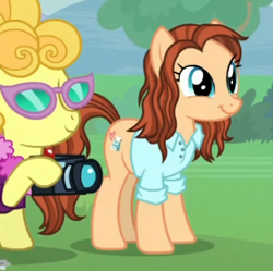 Size: 339x337 | Tagged: safe, screencap, species:earth pony, species:pony, episode:between dark and dawn, g4, my little pony: friendship is magic, background pony, button-up shirt, camera, cropped, female, glasses, lemon chiffon, mare, nicole dubuc, unnamed pony