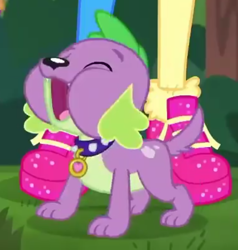 Size: 566x594 | Tagged: safe, screencap, character:pinkie pie, character:spike, character:spike (dog), species:dog, episode:wake up!, g4, my little pony:equestria girls, cropped, cute, male, paws, shoes, sneakers, solo focus, spikabetes, spike's dog collar, wake up!: pinkie pie
