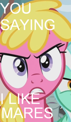 Size: 310x533 | Tagged: safe, screencap, character:cherry berry, character:lyra heartstrings, character:neon lights, character:rising star, episode:the super speedy cider squeezy 6000, g4, my little pony: friendship is magic, arial, hiimdaisy, image macro, meme, persona, persona 4, text