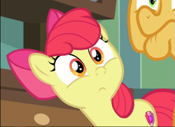 Size: 819x594 | Tagged: safe, screencap, character:apple bloom, character:goldie delicious, species:earth pony, species:pony, episode:going to seed, g4, my little pony: friendship is magic, adorabloom, bow, cropped, cute, elderly, faec, female, filly, hair bow, offscreen character, solo focus