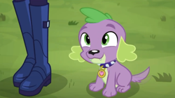Size: 1280x720 | Tagged: safe, screencap, character:spike, character:spike (dog), character:twilight sparkle, character:twilight sparkle (scitwi), species:dog, species:eqg human, episode:the road less scheduled, g4, my little pony:equestria girls, boots, cute, grass, offscreen character, paws, shoes, smiling, spikabetes, spike's dog collar, tail, the road less scheduled: fluttershy