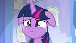 Size: 1920x1080 | Tagged: safe, screencap, character:twilight sparkle, character:twilight sparkle (alicorn), species:alicorn, species:pony, episode:the ending of the end, g4, my little pony: friendship is magic, crying, crylight sparkle, floppy ears