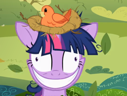 Size: 638x482 | Tagged: safe, screencap, character:twilight sparkle, species:bird, episode:lesson zero, g4, my little pony: friendship is magic, crazy face, cropped, faec, grin, nest, smiling, solo, twilight snapple