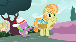 Size: 1280x720 | Tagged: safe, screencap, character:junebug, character:spike, species:dragon, species:earth pony, species:pony, episode:secret of my excess, g4, my little pony: friendship is magic, ball, basket of flowers, clothing, female, flower, fountain, hat, male, mare, ponyville, tree