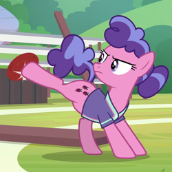Size: 1026x1027 | Tagged: safe, screencap, character:berry blend, character:berry bliss, species:earth pony, species:pony, episode:2-4-6 greaaat, buckball, buckball court, buckball uniform, bucking, clothing, cropped, determined, female, friendship student, jersey, mare, narrowed eyes, shirt, solo