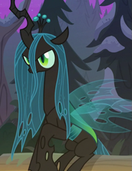 Size: 555x718 | Tagged: safe, screencap, character:queen chrysalis, species:changeling, episode:frenemies, g4, my little pony: friendship is magic, changeling queen, cropped, female, sitting, solo