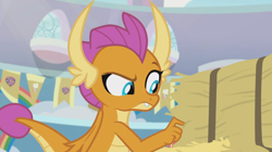 Size: 1366x766 | Tagged: safe, screencap, character:smolder, species:dragon, episode:2-4-6 greaaat, banner, confused, dragoness, female, gym, hay, hay bale, rainbow, solo