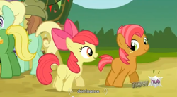 Size: 846x467 | Tagged: safe, screencap, character:apple bloom, character:apple honey, character:babs seed, character:half baked apple, character:wensley, episode:apple family reunion, g4, my little pony: friendship is magic, hub logo, youtube caption