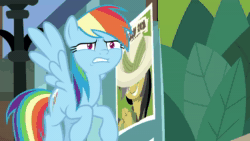 Size: 1920x1080 | Tagged: safe, screencap, character:rainbow dash, species:pony, episode:daring doubt, g4, my little pony: friendship is magic, animated, cute, dashabetes, faec, rainbow dash is best facemaker, reaction image, say what, shocked, sound, webm