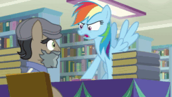 Size: 1920x1080 | Tagged: safe, screencap, character:doctor caballeron, character:fluttershy, character:rainbow dash, species:earth pony, species:pegasus, species:pony, episode:daring doubt, g4, my little pony: friendship is magic, accusation, angry, animated, book, bookshelf, bookstore, chair, clothing, disguise, fake beard, flat cap, flying, glare, groom q.q. martingale, hat, mood whiplash, smiling, sound, table, webm