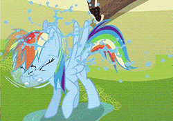 Size: 250x175 | Tagged: safe, screencap, character:rainbow dash, episode:the mysterious mare do well, g4, my little pony: friendship is magic, animated, shaking, wet mane, wet-dog shake