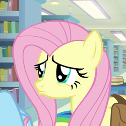 Size: 860x860 | Tagged: safe, screencap, character:fluttershy, character:rainbow dash, species:pegasus, species:pony, episode:daring doubt, g4, my little pony: friendship is magic, animated, animated png, cropped, cute, eye shimmer, female, frown, lidded eyes, lip quiver, mare, pouting, puppy dog eyes, sad, sadorable, shyabetes, solo focus