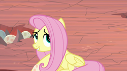 Size: 1920x1080 | Tagged: safe, screencap, character:fluttershy, species:pegasus, species:pony, episode:sweet and smoky, g4, my little pony: friendship is magic, cute, dragon egg, egg, female, mare, shyabetes, solo