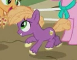Size: 250x196 | Tagged: safe, screencap, character:applejack, character:little mac, character:sugar belle, species:earth pony, species:pony, episode:the last problem, g4, my little pony: friendship is magic, leak, aunt and nephew, colt, cropped, male