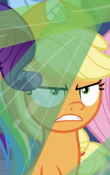 Size: 231x369 | Tagged: safe, screencap, character:applejack, character:fluttershy, character:rainbow dash, character:rarity, species:pony, episode:the ending of the end, g4, my little pony: friendship is magic, leak, angry, applejack is not amused, cropped, shrunken pupils, solo focus, unamused