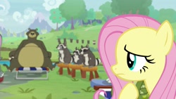 Size: 1920x1080 | Tagged: safe, screencap, character:fluttershy, character:harry, species:pony, species:wolf, episode:she talks to angel, g4, my little pony: friendship is magic, bear, female, mare, raccoon, sandra, smoky, smoky jr., softpad, stool