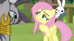 Size: 1920x1080 | Tagged: safe, screencap, character:angel bunny, character:fluttershy, character:zecora, species:pegasus, species:pony, species:rabbit, species:zebra, episode:she talks to angel, g4, my little pony: friendship is magic, animal, ear piercing, earring, female, jewelry, male, mare, neck rings, piercing