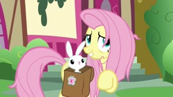 Size: 1920x1080 | Tagged: safe, screencap, character:angel bunny, character:fluttershy, species:pony, species:rabbit, episode:she talks to angel, g4, my little pony: friendship is magic, animal, duo, female, male, mare, messy mane, saddle bag