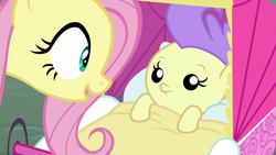 Size: 1920x1080 | Tagged: safe, screencap, character:angel bunny, character:cream puff, character:fluttershy, species:pony, episode:she talks to angel, g4, my little pony: friendship is magic, baby, baby pony, body swap, female, foal, mare