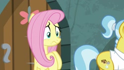Size: 1920x1080 | Tagged: safe, screencap, character:angel bunny, character:doctor fauna, character:fluttershy, species:earth pony, species:pegasus, species:pony, episode:she talks to angel, g4, my little pony: friendship is magic, body swap, duo, female, mare, worried
