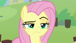 Size: 1920x1080 | Tagged: safe, screencap, character:angel bunny, character:fluttershy, species:pony, episode:she talks to angel, g4, my little pony: friendship is magic, angel is not amused, body swap, female, mare, raised eyebrow, solo