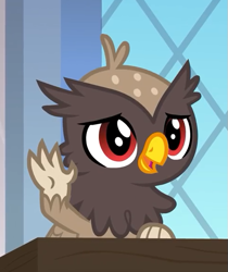 Size: 487x580 | Tagged: safe, screencap, species:griffon, episode:the last problem, g4, my little pony: friendship is magic, background griffon, chickub, claws, cropped, cute, garrick, male