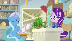 Size: 1920x1080 | Tagged: safe, screencap, character:phyllis, character:starlight glimmer, character:trixie, species:pony, species:unicorn, episode:a horse shoe-in, g4, my little pony: friendship is magic, arrogant, bookshelf, duo, eyes closed, female, frown, glowing horn, headmare starlight, hoof on chest, horn, interview, magic, magic aura, mare, narrowed eyes, open mouth, philodendron, plant, raised eyebrow, raised hoof, scroll, sitting, smiling, starlight is not amused, starlight's office, unamused, unimpressed