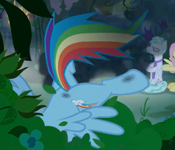 Size: 778x668 | Tagged: safe, screencap, character:rainbow dash, species:pony, episode:the summer sun setback, g4, my little pony: friendship is magic, cropped, rainbow crash
