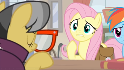 Size: 1600x900 | Tagged: safe, screencap, character:a.k. yearling, character:fluttershy, character:rainbow dash, species:pegasus, species:pony, episode:daring doubt, g4, my little pony: friendship is magic, book, cape, clothing, female, glasses, mare, saddle bag