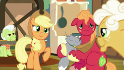 Size: 1920x1080 | Tagged: safe, screencap, character:applejack, character:big mcintosh, character:goldie delicious, character:granny smith, episode:going to seed, g4, my little pony: friendship is magic, cat