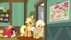 Size: 1920x1080 | Tagged: safe, screencap, character:applejack, character:big mcintosh, character:goldie delicious, episode:going to seed, g4, my little pony: friendship is magic, cat