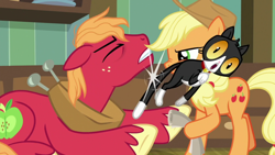 Size: 1920x1080 | Tagged: safe, screencap, character:applejack, character:big mcintosh, episode:going to seed, g4, my little pony: friendship is magic, cat