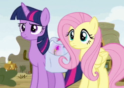 Size: 734x520 | Tagged: safe, screencap, character:fluttershy, character:twilight sparkle, character:twilight sparkle (alicorn), species:alicorn, species:pegasus, species:pony, episode:growing up is hard to do, g4, my little pony: friendship is magic, animated, cropped, duo, eyeroll, female, fluttershy is not amused, mare, reaction image, saddle bag, sound, twilight is not amused, unamused, webm