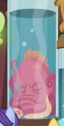 Size: 353x689 | Tagged: safe, screencap, species:pony, episode:a horse shoe-in, g4, my little pony: friendship is magic, cropped, eyes closed, octopus, solo focus, squirk, the face of boe, water