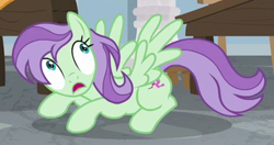 Size: 721x380 | Tagged: safe, screencap, character:violet twirl, species:pegasus, species:pony, episode:a horse shoe-in, g4, my little pony: friendship is magic, background pony, cowering, cropped, female, friendship student, looking up, mare, solo