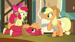 Size: 1920x1080 | Tagged: safe, screencap, character:apple bloom, character:applejack, character:big mcintosh, species:pony, episode:going to seed, g4, my little pony: friendship is magic